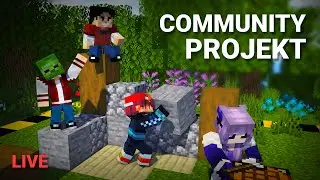 🔵 | Gemeinsam bauen! | Community-Server