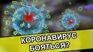 КОРОНАВИРУС. ЧТО ДЕЛАТЬ? НУЖНО ЛИ БОЯТЬСЯ?