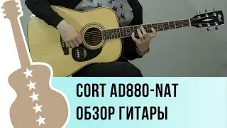 Cort AD880-NAT acoustic guitar review