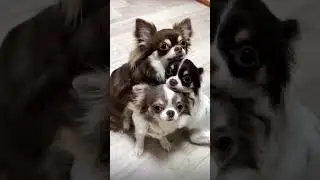 Best friends