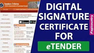What type of Digital Signature Certificate is required For Tender - Apicountry