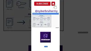 Encryption vs hashing