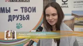 Домашние животные: Репортаж "ЮНА - Фест"