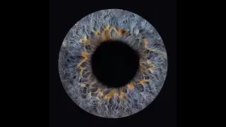 Iris Photography- How to turn your Eye/Iris into a work of art
