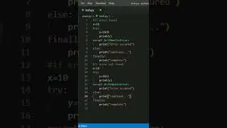 Exception handling in python