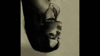 Mitski - My love mine all mine (lyrics)