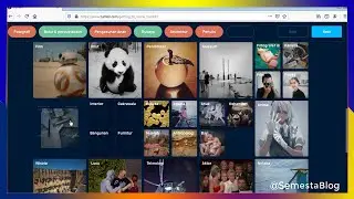 How to Create a Blog on Tumblr Easily Latest 2020
