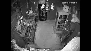 Strange Flying Object in Blackbeard's Closet of Curiosities