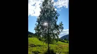 Краса😍