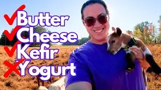 A VERY Dairy Day! |  Milk Processing VLOG