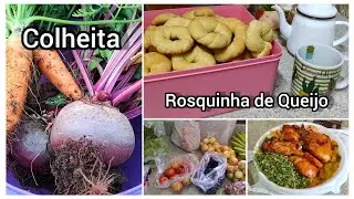 Privilégio pode morar na Roça//colheita na Horta//fui a feira//Rosquinha assada de queijo meia cura