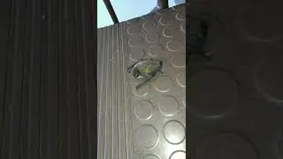 Посмотри какое ЧУДО 😱