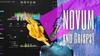 Dawesome Novum & Crisps