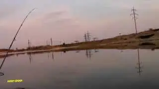 Ловля некрупного карася на донную оснастку и 
