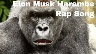Elon Musk Harambe Rap Song