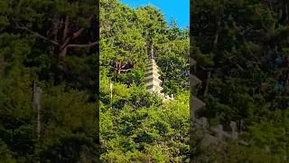 [5대적멸보궁] 자장스님이 입적한곳 #정암사