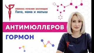 Антимюллеров гормон: что показывает и как действовать при его снижении?