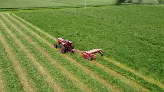 Mowing down the Hay!