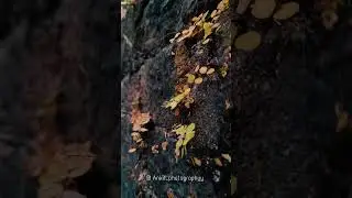 Realme 9 Pro Plus Slow Motion Quality Check 