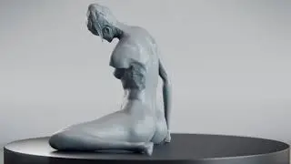 anatomy study HD