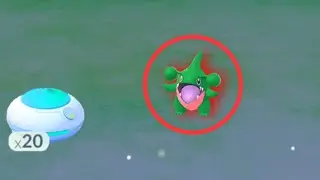 Rare Random Shiny Gible off Incense 🤯
