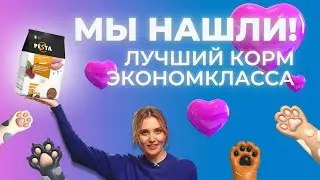 Сухой корм Pesta для кошек / Полный обзор / Саша знает