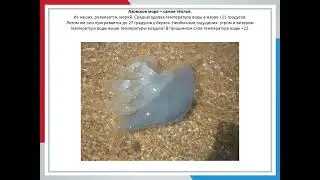 Азовское море
