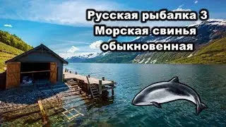 Русская рыбалка 3. Морская свинья обыкновенная. Квест 21.