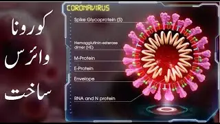 Structure of Virus in Urdu/ Hindi | Virus ki Sakht | Urdu Zuban me | وائرس کی ساخت| اردو زبان میں
