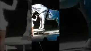Giorgia Canestrelli Togni - massimo e minimo Grottaminarda (AV)