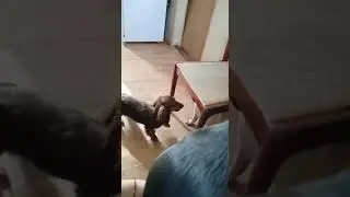 Фрося ругается))