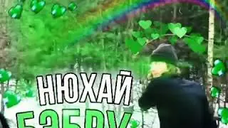 НЮХАЙ БЭБРУ мем, ремикс, тик ток(Ясний мой свет)!