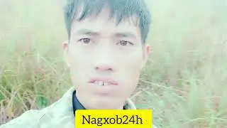 Mus Ua Teb Ngob Toj Siab