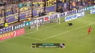 Los mejores goles. Fecha 17. Torneo Primera División 2014. FPT.