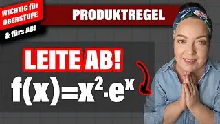 Ableitung PRODUKTREGEL mit e-Funktion