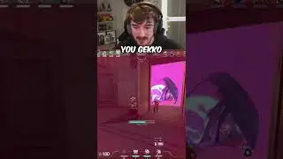 How To Gekko...