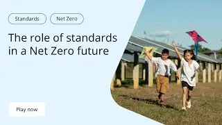 The role of standards in a net zero future