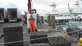 Sylt Hörnum. Hafen. Austern Entladung. Германия Зюльт. Разгрузка устриц