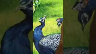 Painting Peacocks | YouTube Shorts