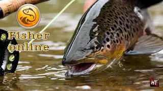 Fisher Online - Польша! \ Рыбалка нахлыстом!