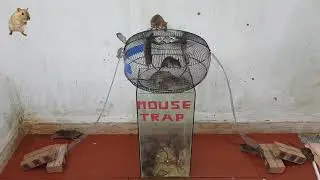 Mouse trap with glass and bird cage - How to make mousetrap with bird cage - homemade mousetrap