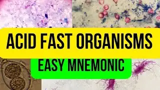 Acid Fast Organisms - Easy Mnemonic