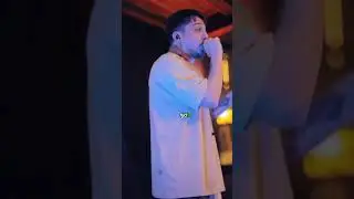 Hidra Konseri Nabız