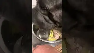 Тор и Титан ❤️❤️