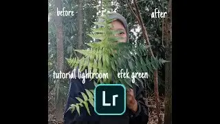 Lightroom