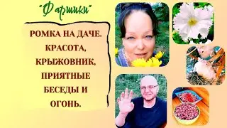 РАК МОЗГА. АФАЗИЯ. РОМКА НА ДАЧЕ  КРАСОТА, КРЫЖОВНИК, ПРИЯТНЫЕ БЕСЕДЫ И ОГОНЬ #онкология #ракмозга