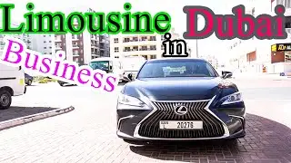 How To Start Limousine Business in Dubai || How To Work Uber & Cream in UAE