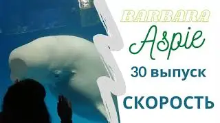 30. Скорость, движение внешнее и внутреннее для аутистичного/нейроразнообразного человека
