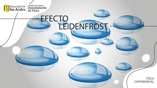 Efecto Leidenfrost con Nitrógeno líquido.