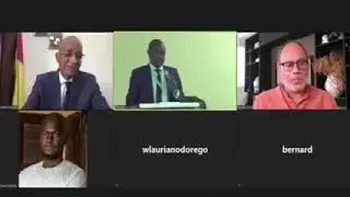 Visio conférence de Cellou Dalein Diallo